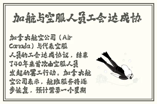 cheng人视频